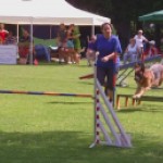 2010-06-26-A3kl