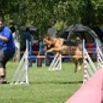 IMG_0783