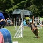 IMG_0784